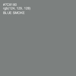 #7C8180 - Blue Smoke Color Image